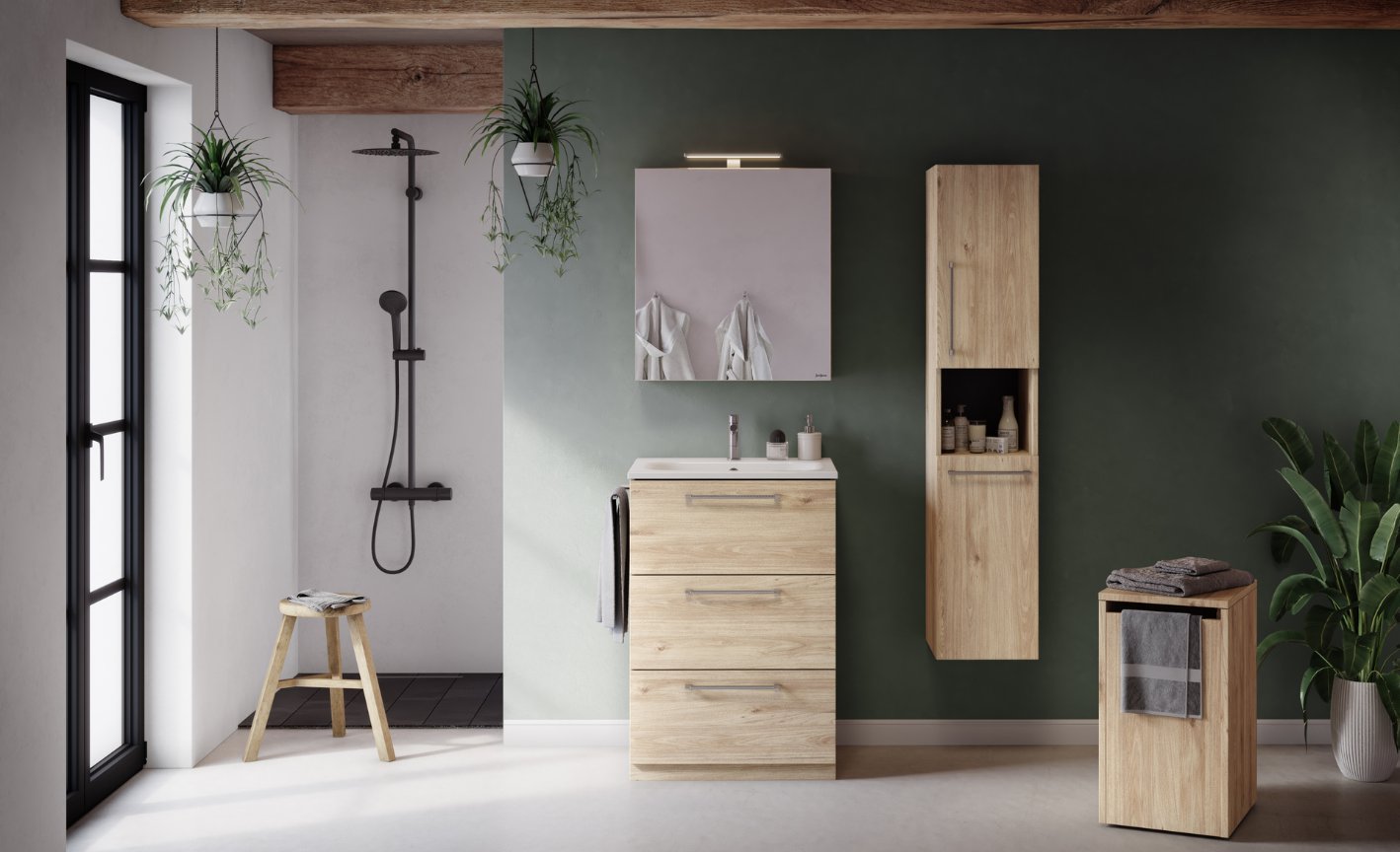 Plantes de salle de bain suspendues et en pot dans une salle de bain verte